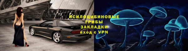 ГАЛЛЮЦИНОГЕННЫЕ ГРИБЫ Нея