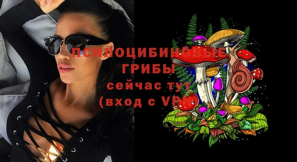 твердый Нефтегорск