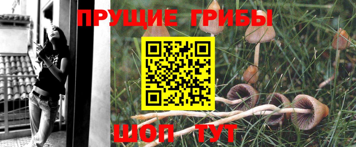 Галлюциногенные грибы прущие грибы  Вход с VPN  Псилоцибиновые грибы Cubensis  Кирово-Чепецк 