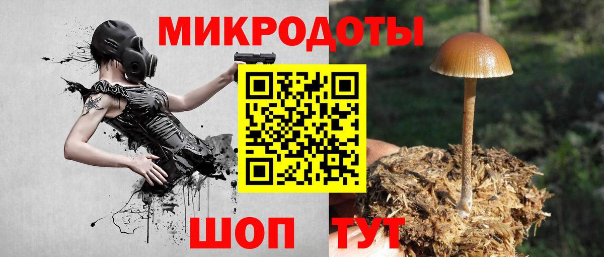 Галлюциногенные грибы Psilocybine cubensis Кирово-Чепецк