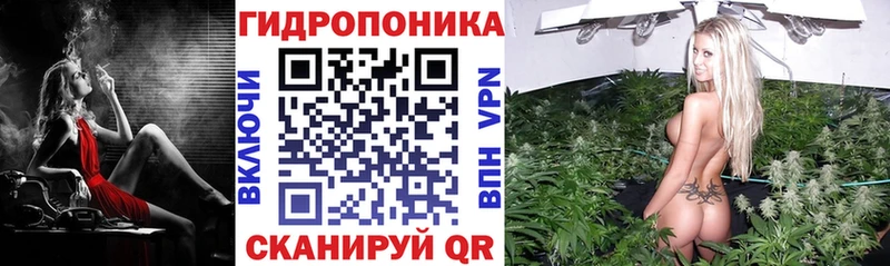Бошки марихуана ГИДРОПОН  Кирово-Чепецк 